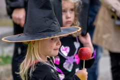 20211030-DSC06519