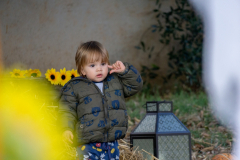 20211030-DSC06611