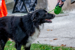 20211030-DSC06684