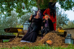 20211030-DSC08371