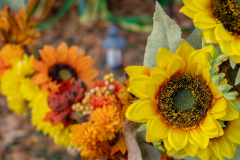 20211030-DSC08534