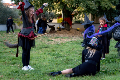 20211030-DSC08636