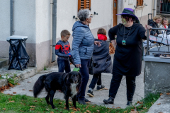 20211030-DSC08736