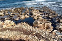 nsl-Oneciscenje_Liznjan-LKPU-13-11_22-1