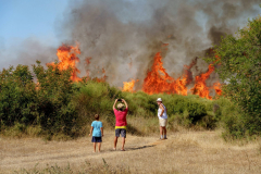 227854174_4370438809680344_1470580453687822498_n