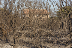 231672926_132422499054247_6876710893982576938_n