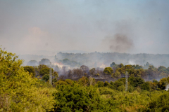 232262767_520107142544575_5781553988468490532_n