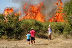 232471516_556759082185265_3914856010975150778_n