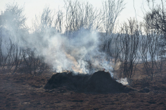 232609523_243605030959814_7255765368500641592_n