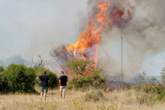 232902246_352829756535188_1589776755795715476_n