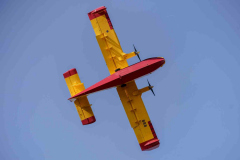 233282471_568645997909509_1245478273429929334_n