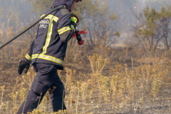 233370561_267087768207065_1900328354913120679_n