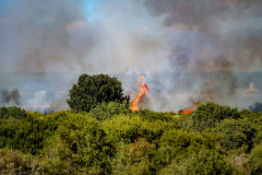 233831621_4117186631709942_9127297397777772009_n