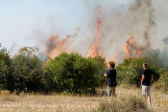 234094715_974551976667171_178404513888742065_n