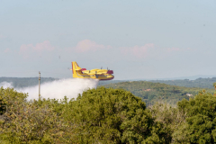 234816049_2952062675033361_2531860442272297335_n