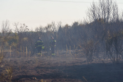 235046519_267533711483219_1790154716893631316_n