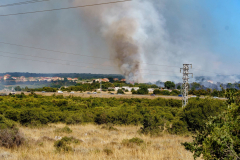 235247537_1049320795875776_6610603431462546222_n