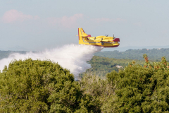 235333789_525245195378964_7088688138472498464_n