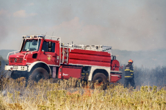 235454763_192744182888905_8544406301483377874_n