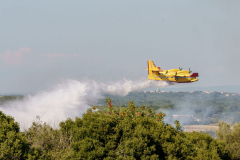 235774843_4178683295502043_1978124722888501585_n