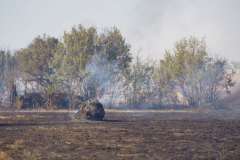 235853577_508647620200529_4617635789520557485_n