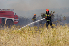 236545513_1436243530089222_693172540415388802_n