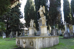DSCN8560