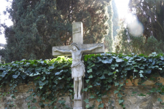 DSCN8580