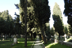 DSCN8585