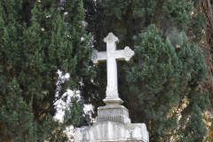 DSCN8593