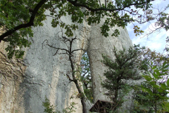 DSCF0002