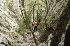 DSCN2028
