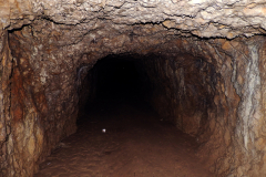 DSCN2167A