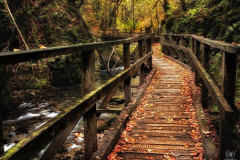 Kanjon-Kamacnik-0005