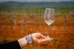 342803456_622565459402211_6701698896381428920_n