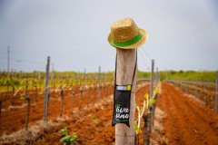 342842905_600274258832302_8976183258726697593_n