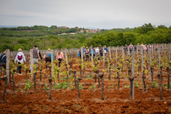 343407218_1305400243345917_569604647009894945_n