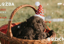 Božićne njuškice u Kino Valli