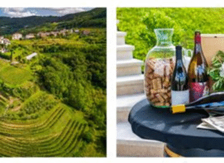 U Kaldiru iznad Motovuna predstavljeno šest iznimnih vina i jedan as iz rukava