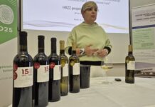 Institut iz Poreča prvi u Hrvatskoj proizveo vino uz pomoć ultrazvučnih valova