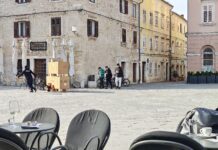 Pula: Stroži nadzor nad vlasnicima pasa koji ne čiste za svojim ljubimcima