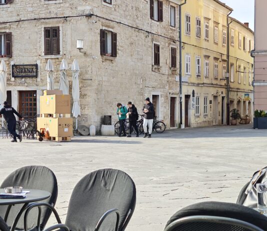 Pula: Stroži nadzor nad vlasnicima pasa koji ne čiste za svojim ljubimcima