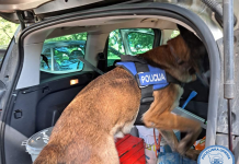 Najveća ovogodišnja zapljena droge u Istri: policija pronašla 8,6 kilograma droge, oružje, eksploziv i novac